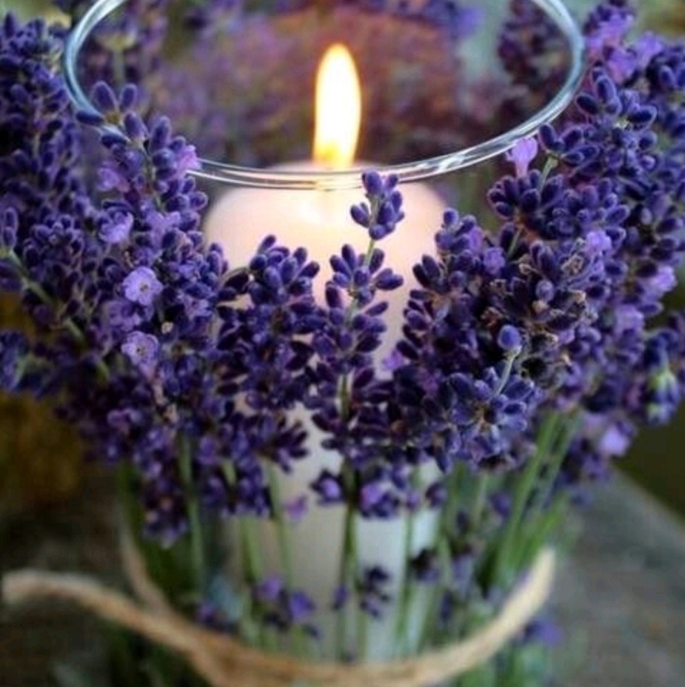 Meet your Posher, Azade